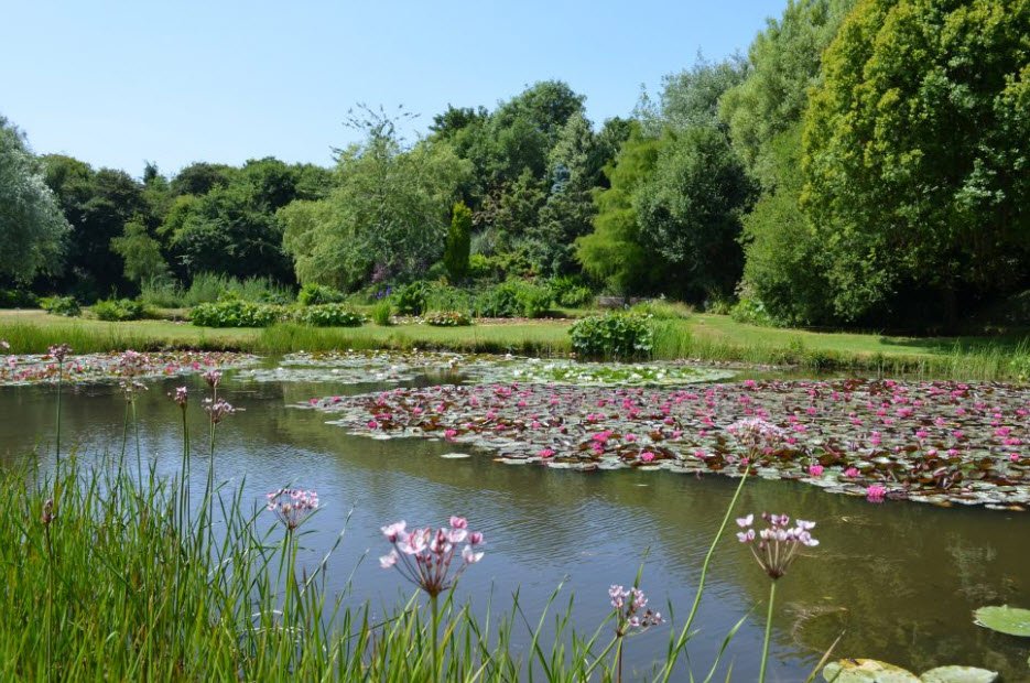 Bennetts Water Gardens , , United Kingdom